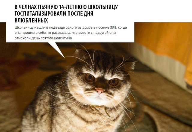 Так себе картинки 24.02.21