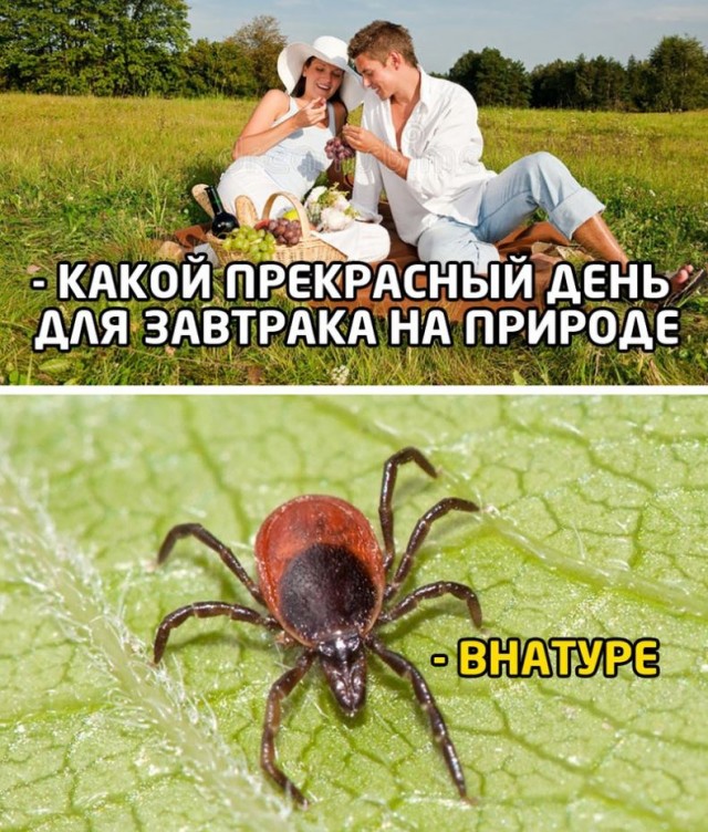 Картинки с надписями и всякие жизненные фразы 9.05.21
