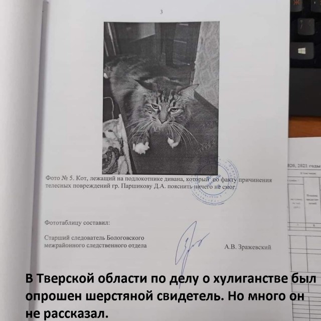 Так себе картинки 11.08.21