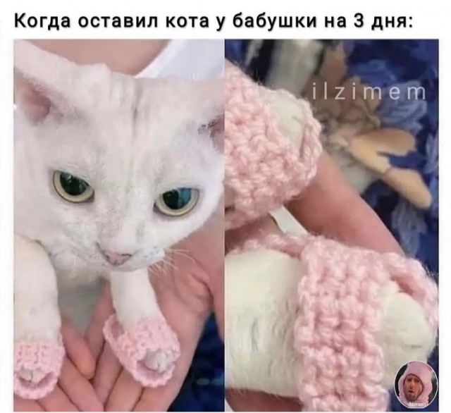 Так себе картинки 08.10.21