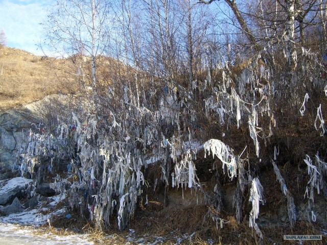 В ноябре на Алтае 2010г.