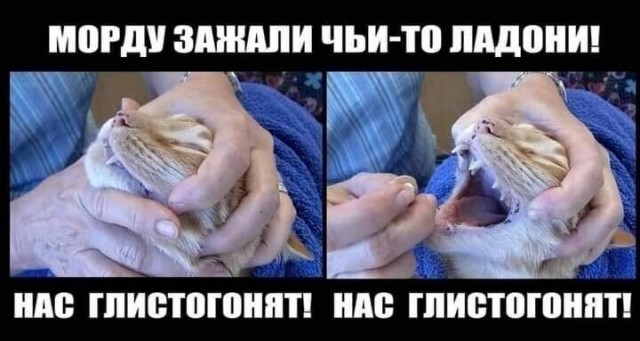 Так себе картинки 27.02.22