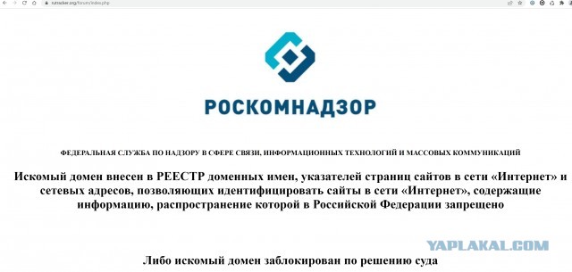 Торренты разблокированы