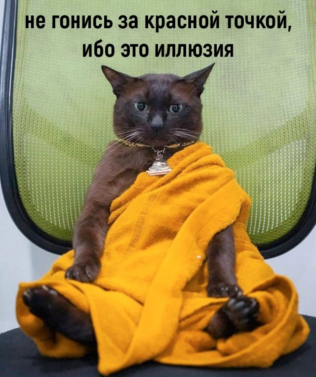 Так себе картинки 15.07.22