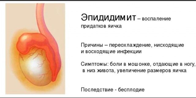 Пандемия съехавших крыш - разновидности болезни. Россия и мир. Часть 38