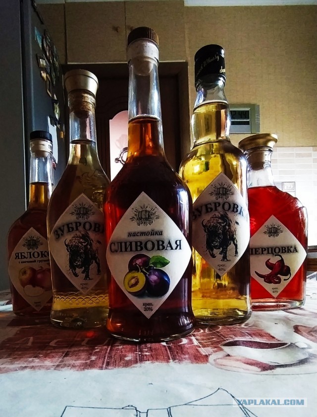 Гнали, гоним, будем гнать!