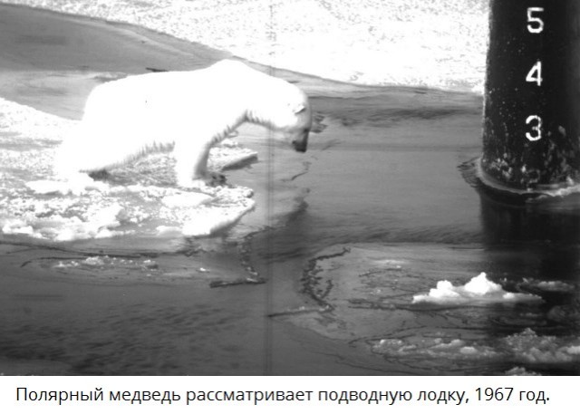 Как пройти по тонкому льду?