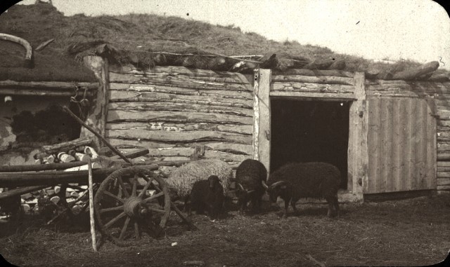Сибирские казаки на службе и дома. Альбом 1911 года