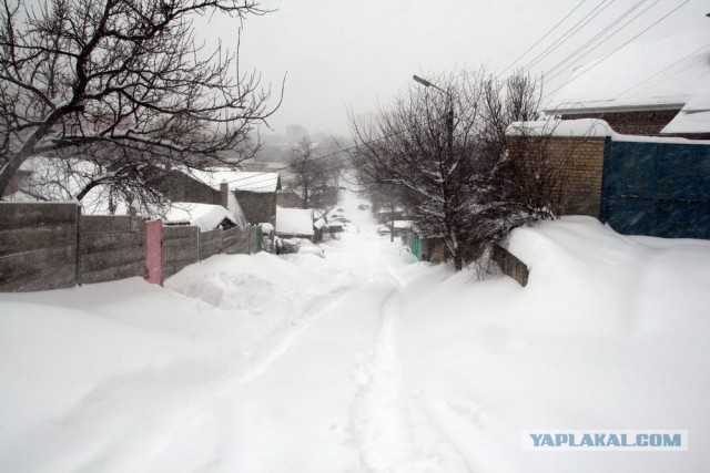 23 марта. Киев. Весна.