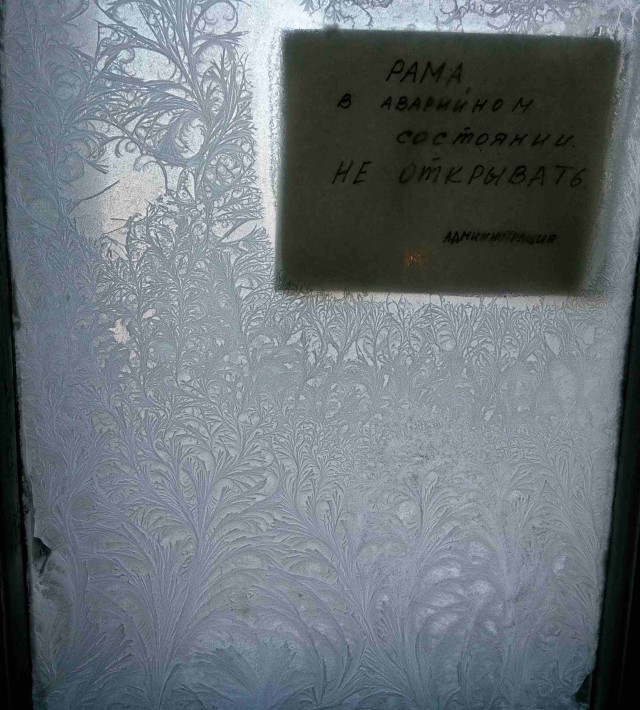 Моя мобильная фотография
