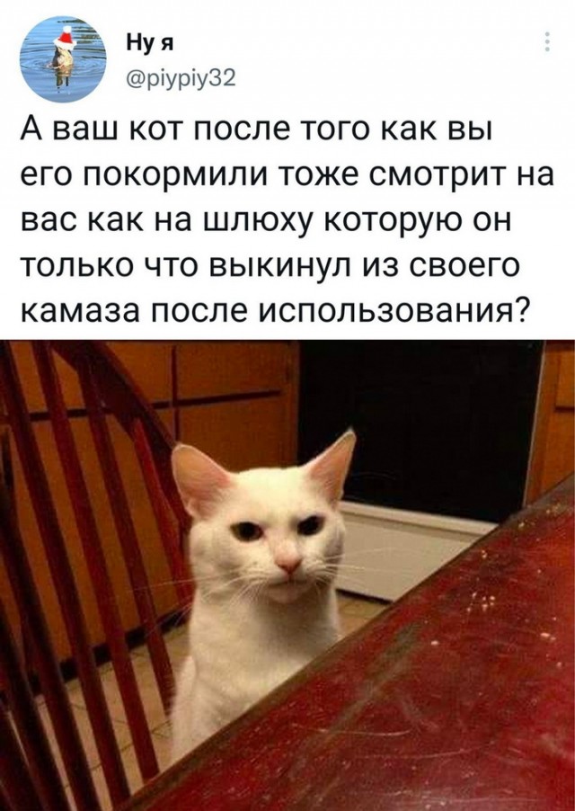 Картинки и мемы. Выходные близко...