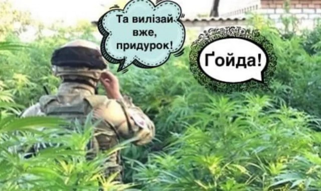 9 человек погибли сегодня в результате крушения вертолетов Ми-8 и самолетов Су-34 и Су-35 в Брянской области