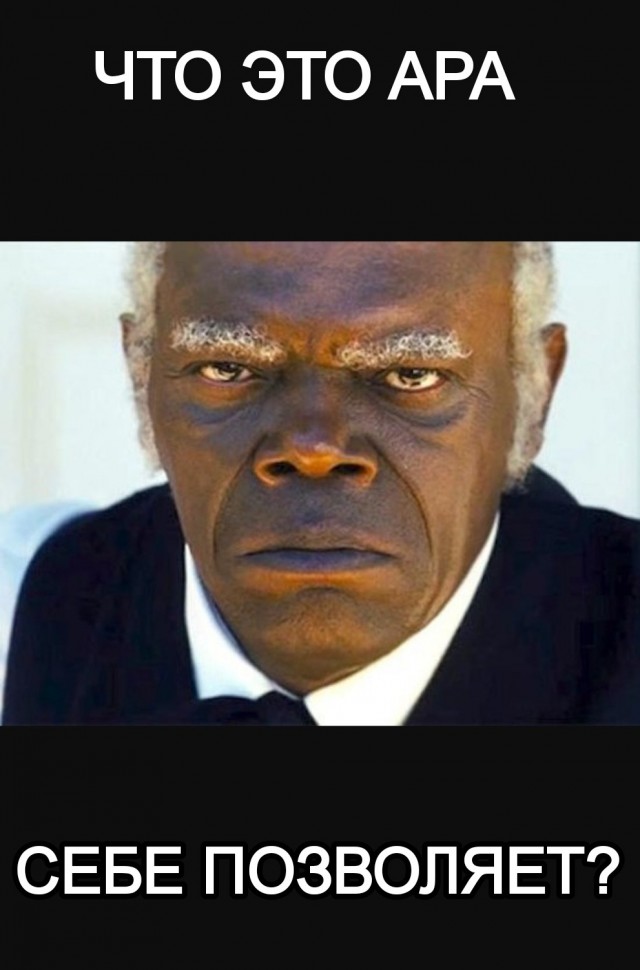Пашинян запретил Захаровой комментировать его высказывания
