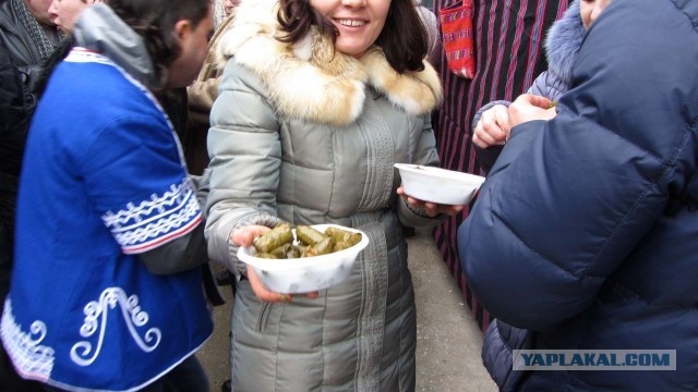 Крым в феврале или "Не стреляйте в белых лебедей!"