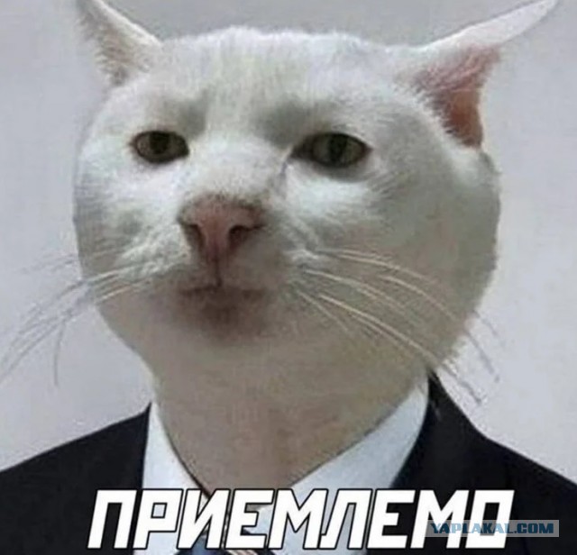 Стрелкову продлили арест