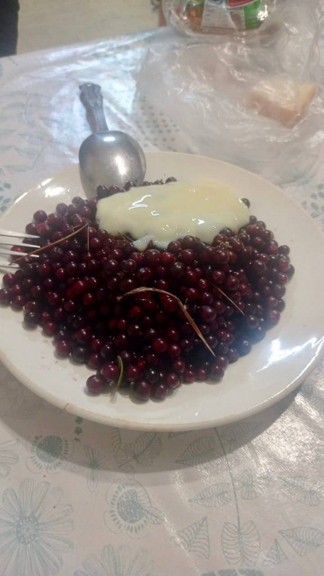 Двое мужчин заблудились в красноярских лесах и неделю питались одними ягодами. В конце их ждал бонус в виде сгущенки