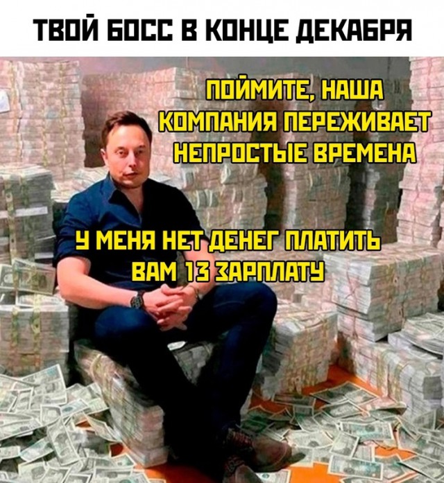 Весёлый полтишок 29.12.23