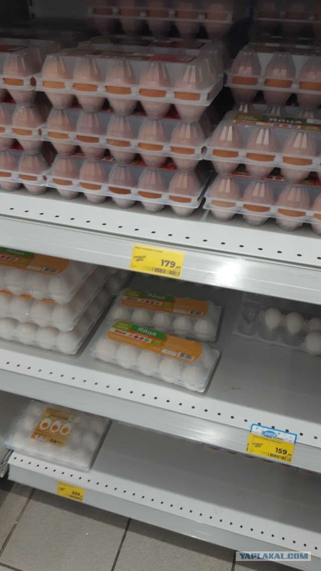 Доступно про ситуацию с яйцами