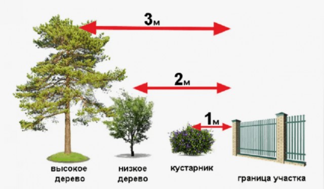 Вредные советы: как довести до белого каления соседей по даче