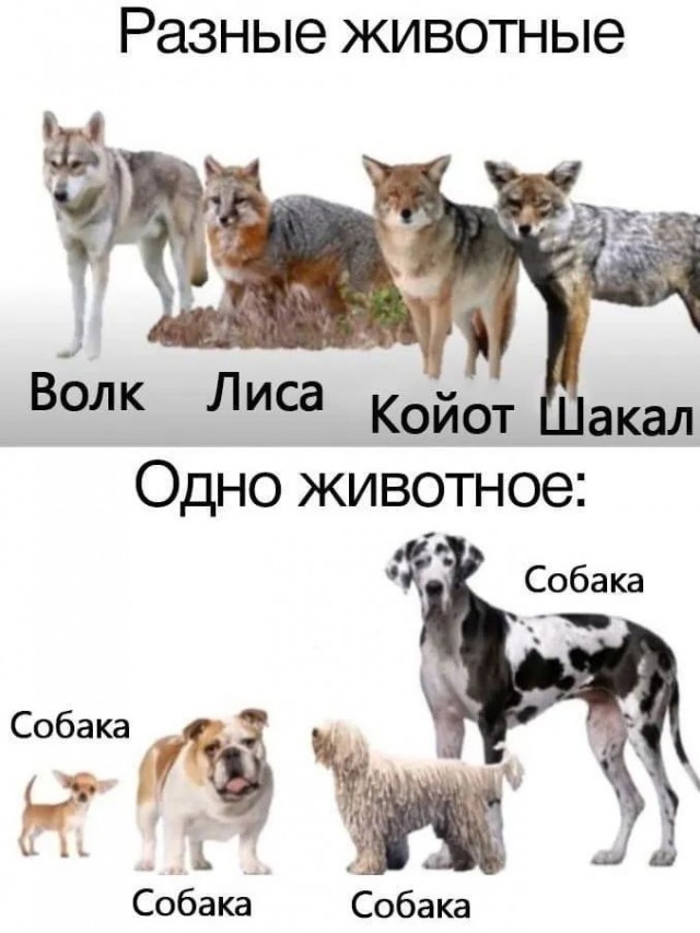 Завалялось тут случайно немного забавных картинок