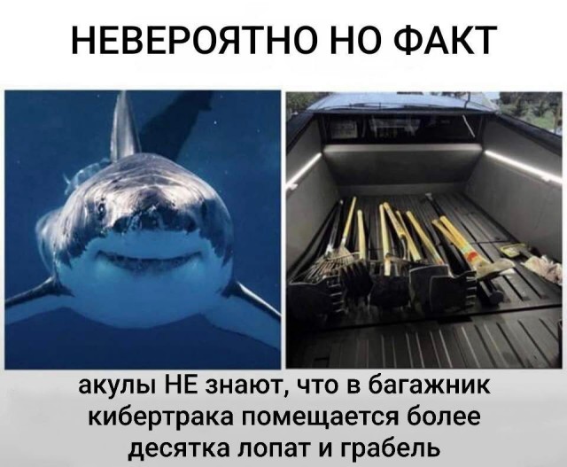 Всего понемногу. От 24.06.2024