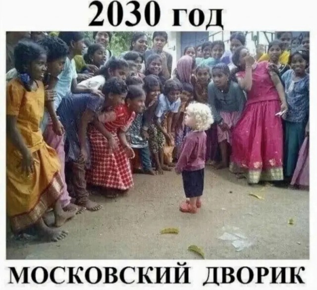 Так себе картинки 08.10.24