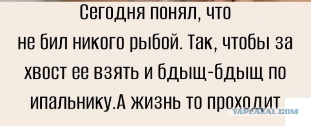 Забавные картинки, шутки из этих ваших интернетов