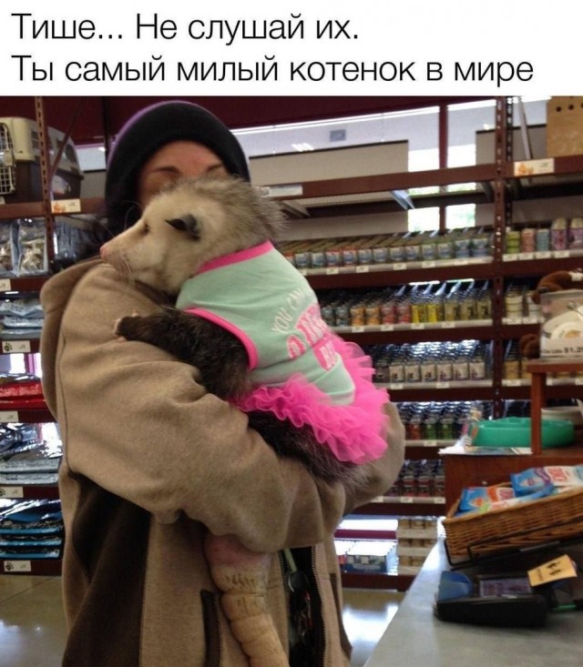 Так себе картинки 20.10.24