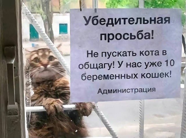 Завалялось тут случайно немного забавных картинок