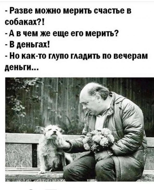 Так себе картинки 25.11.24
