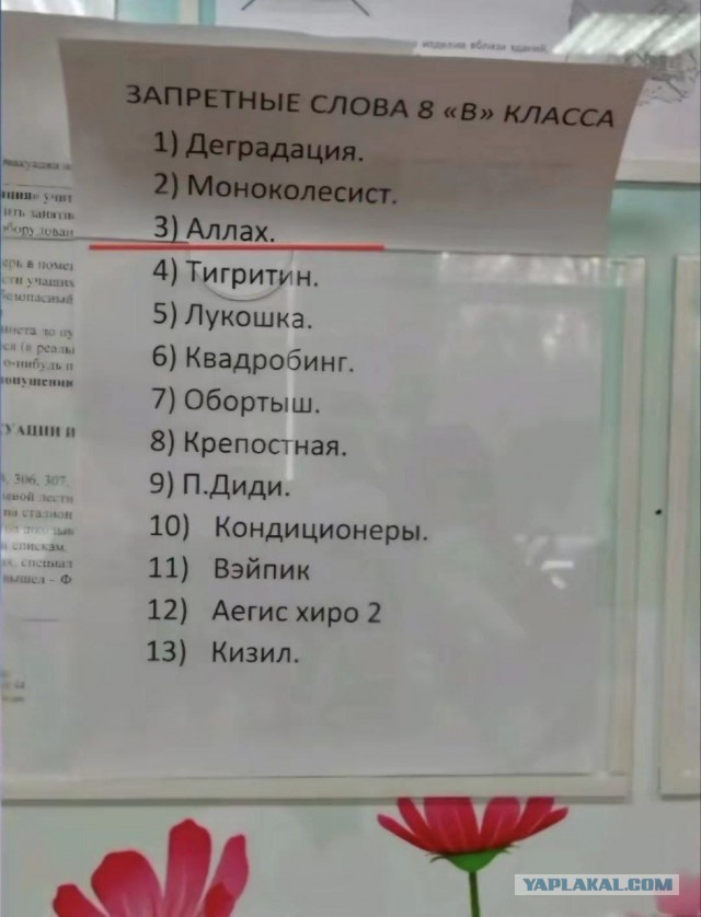 «Запретные слова 8 В класса»