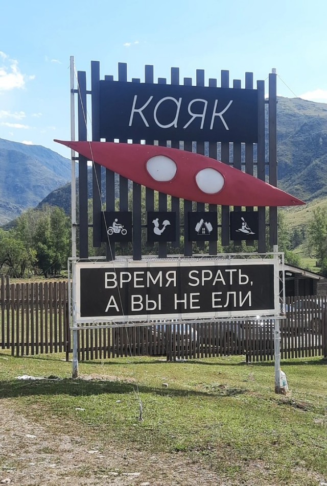 Сова на отдыхе