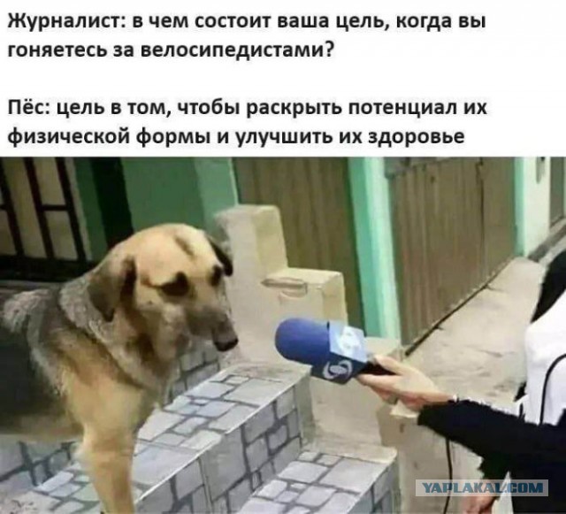 Отсутствие морально этических норм Vol.34