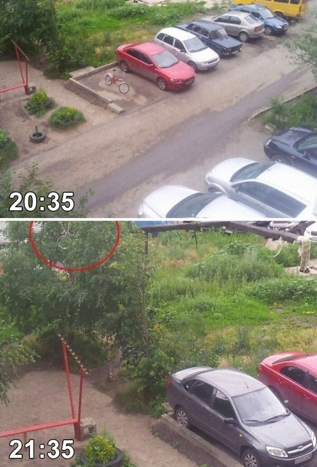 Так себе картинки 11.07.25
