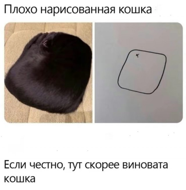 Так себе картинки 19.08.25