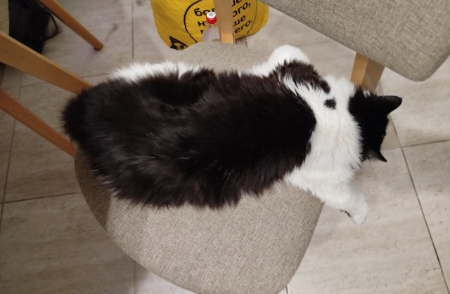 В котовторник.