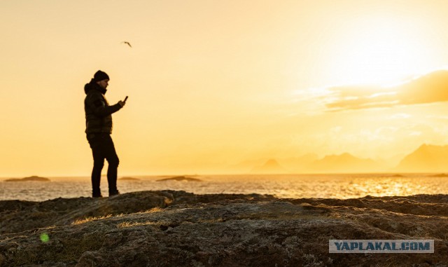 Starlink Direct to Cell - телефонная связь по всему миру.