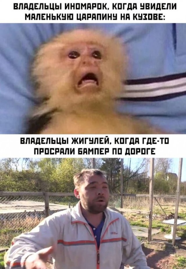 Веселые картинки в пятницу (14.11)