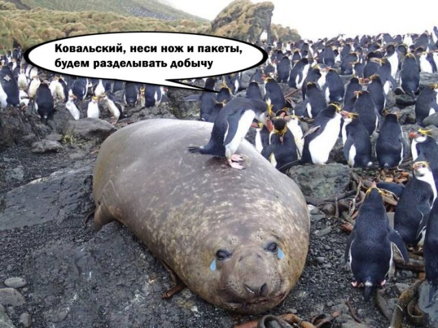 Бессистемные картинки опять