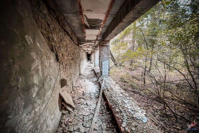 Детство, украденное мирным атомом. Заброшенный с 1986 года детский сад в Припяти