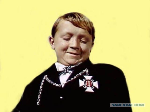 Интернет-сообщество отреагировало на подаренную Дональду Трампу Нобелевскую премию мира волной мемов
