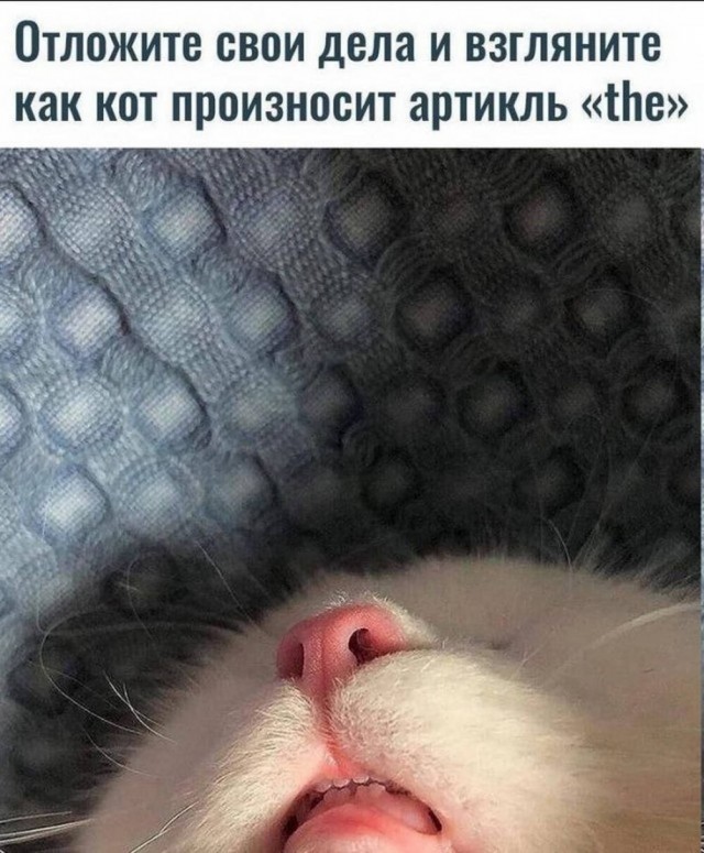 Понедельника картинки