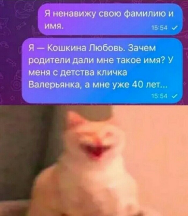 Картинки для деградации 169 (разной степени свежести)