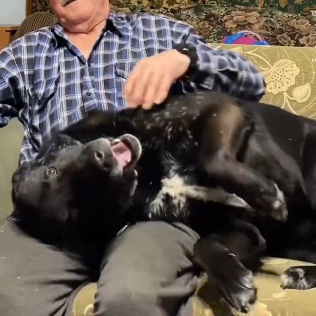 Бабушкин пирожок