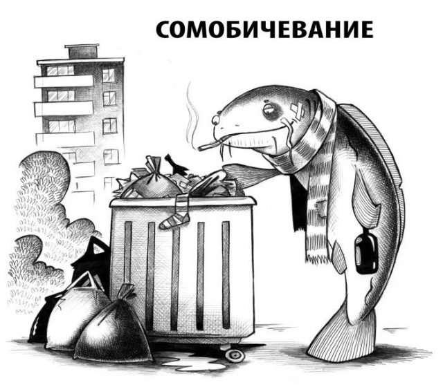Картинки для деградации 197 (разной степени свежести)
