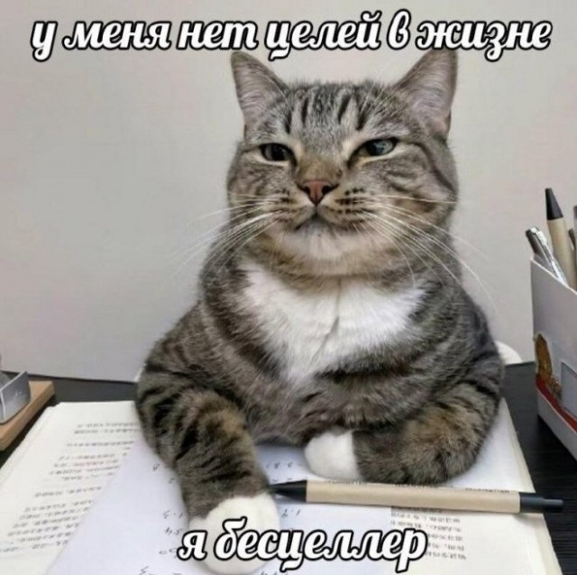 Картинки для деградации 230 (разной степени свежести)