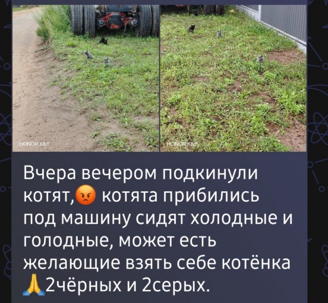 Хвостики