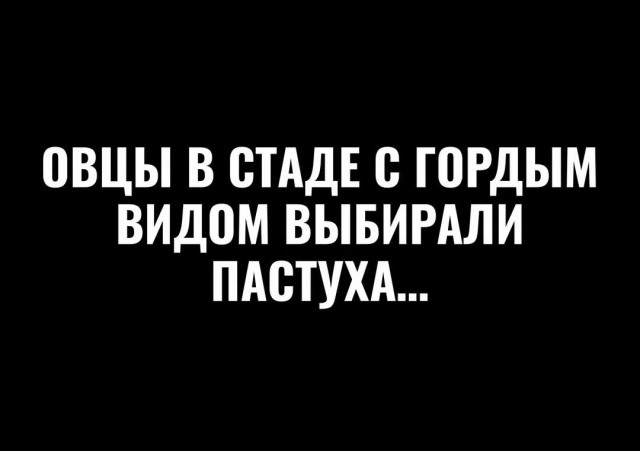 Выборы, выборы
