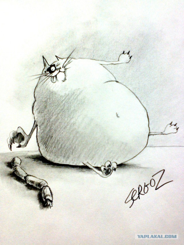 КотЭйки