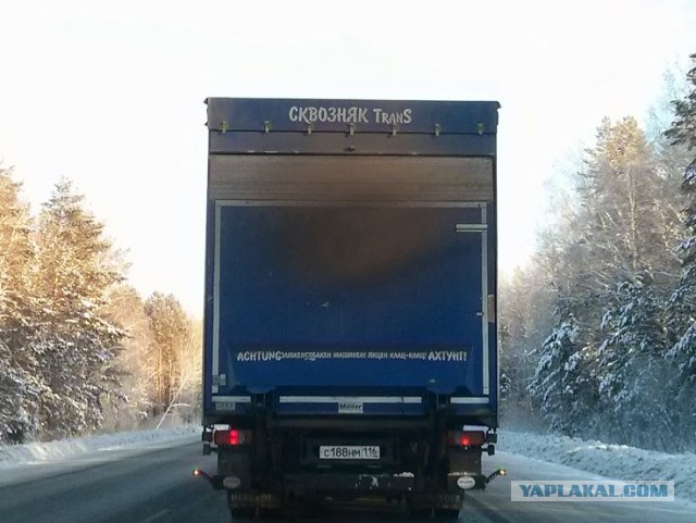 Пингвины! Они очкуют...
